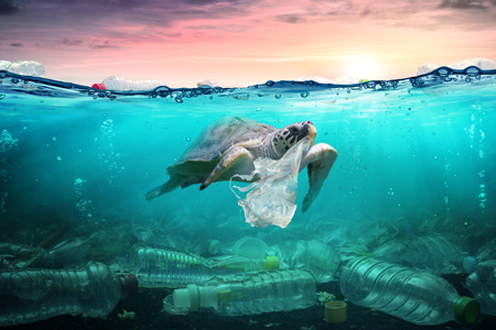 Read more about the article Ridding The Oceans Of Plastics By 2040