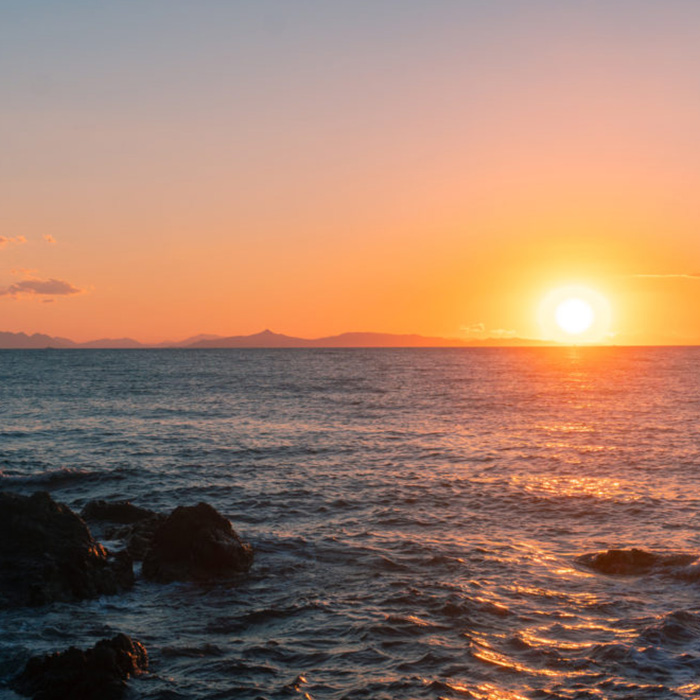 Read more about the article Fish Threatened By Spike In Ocean Oxygen Exodus