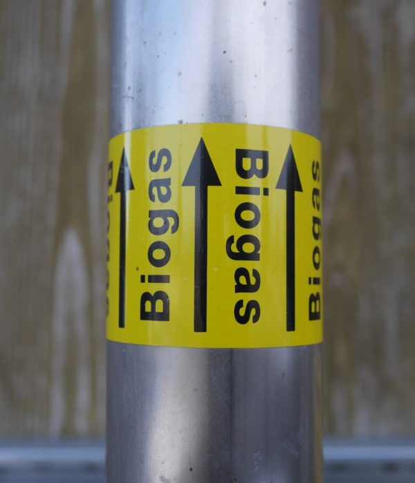 Read more about the article Distillery Wastewater Byproducts Fuel Sustainability