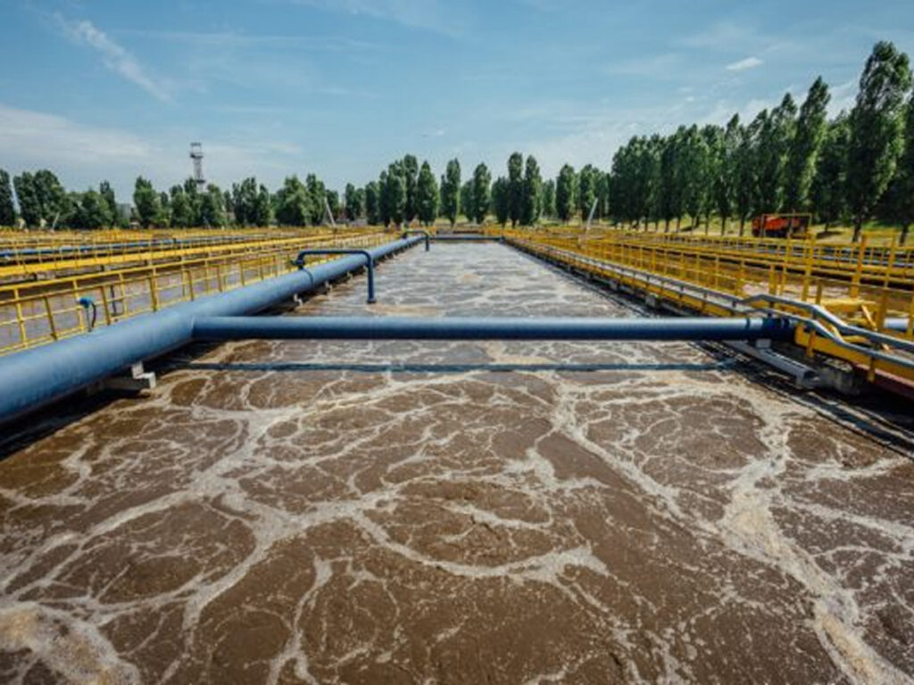 How To Balance Dissolved Oxygen Levels For Maximum Efficiency